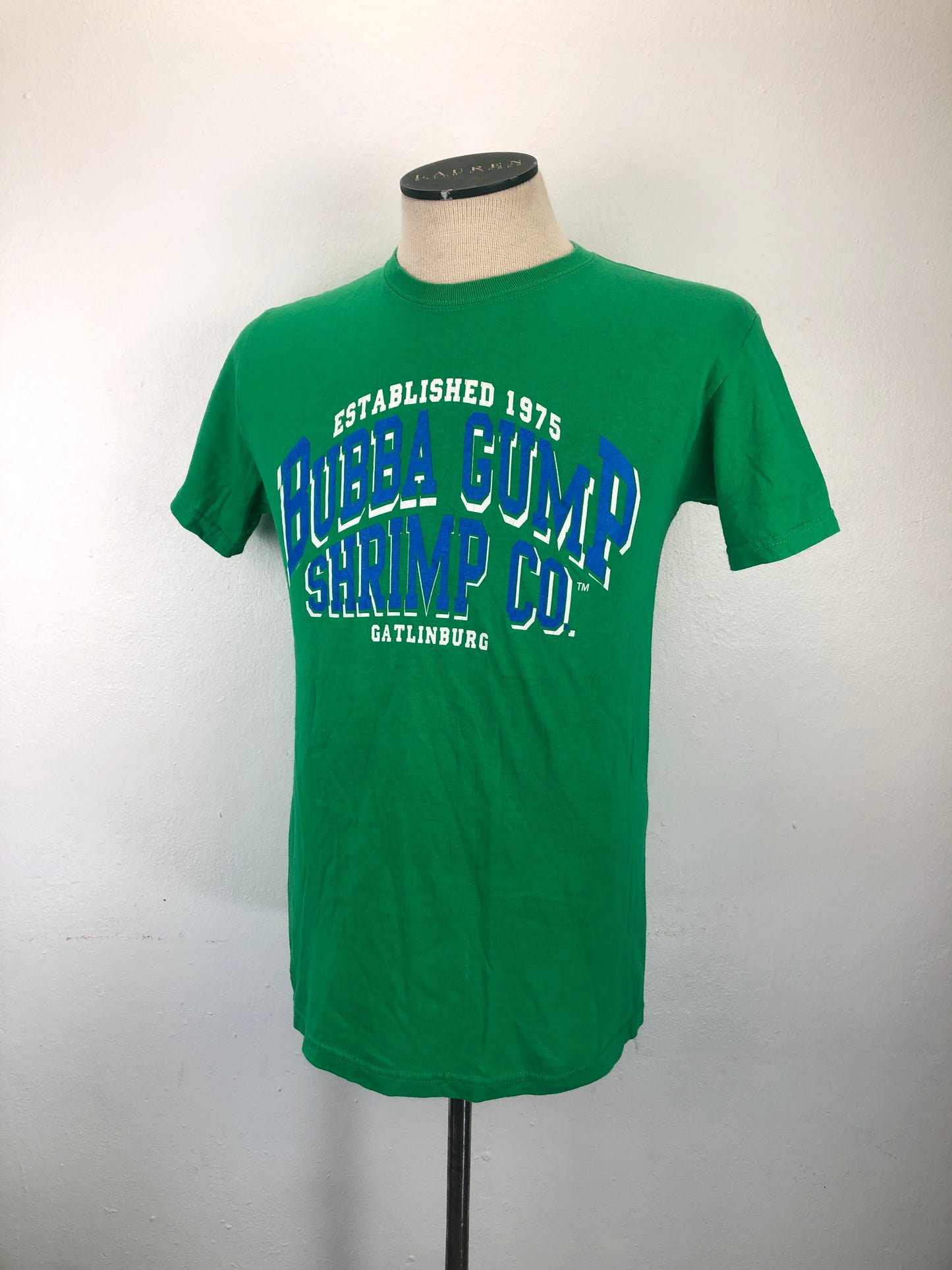 Camiseta Verde Gildan