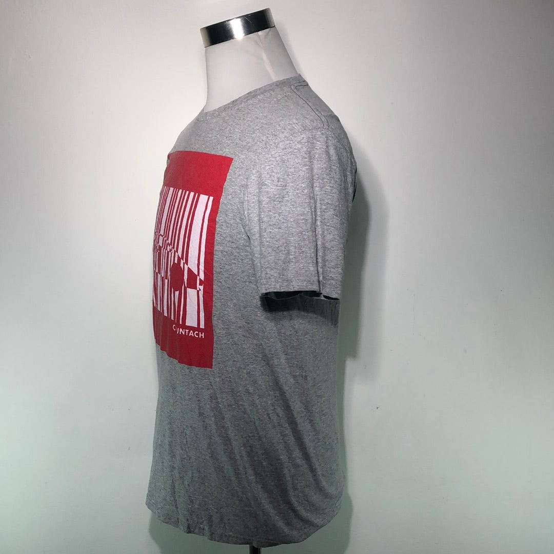 Camiseta Gris