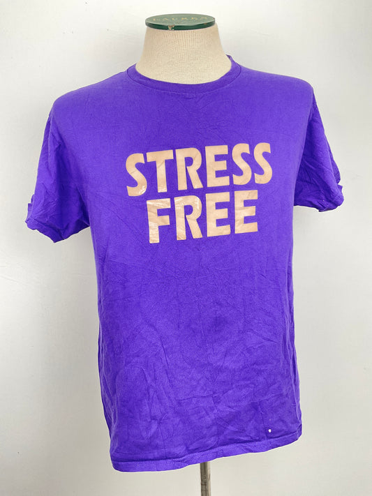 Camiseta Morado Hanes