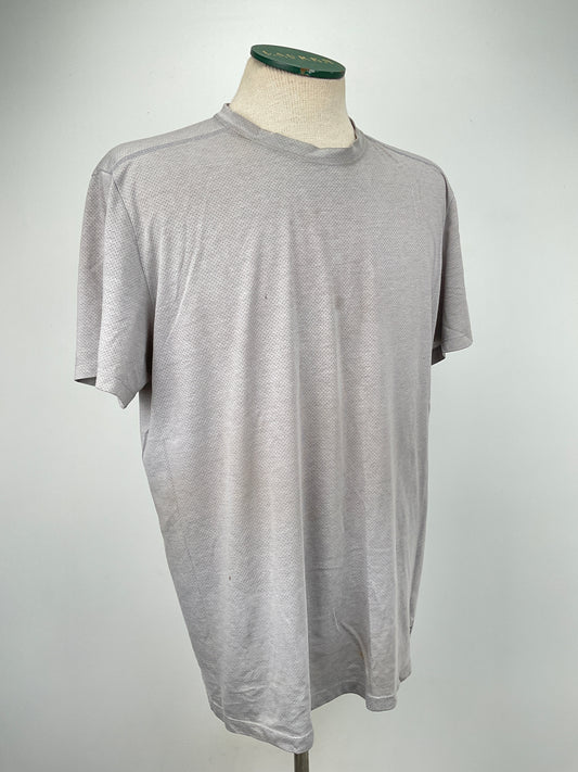 Camiseta Gris Deportivo The North Face