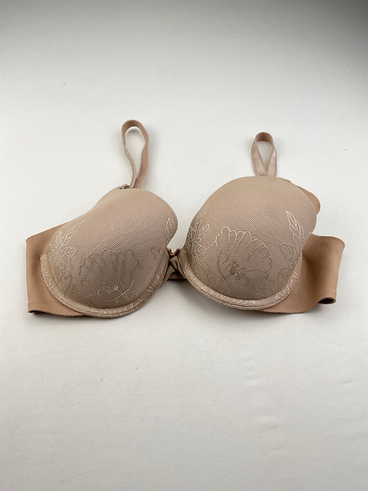 Brasier Crema Warners