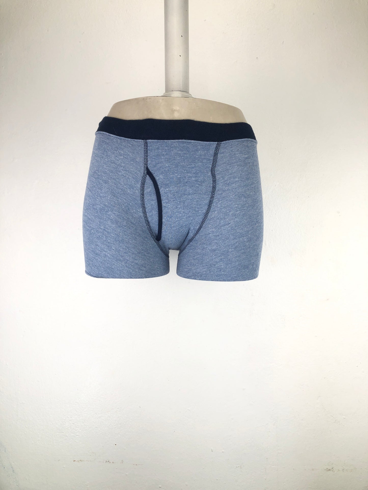 Boxer Azul claro Hanes