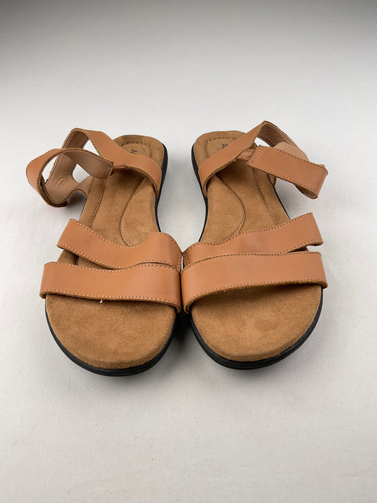 Zapatilla Marron Array