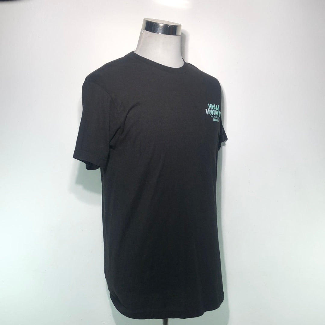 Camiseta Negro Tultex
