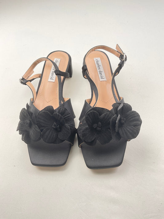 Zapatilla negro charles DVD