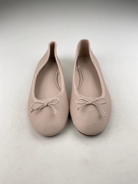 Zapatos Crema HM