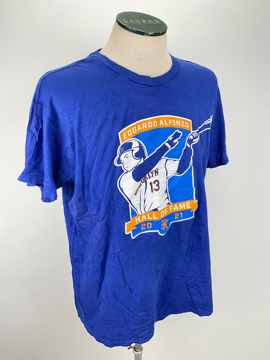Camiseta Azul Hanes