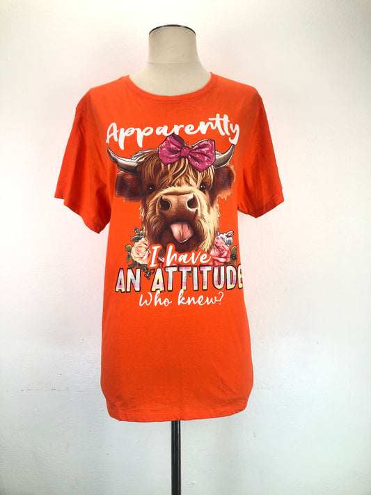 Camiseta Naranja Variangis