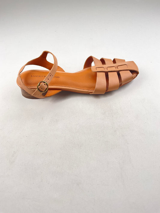 Zapatilla marónn Lucky Brd