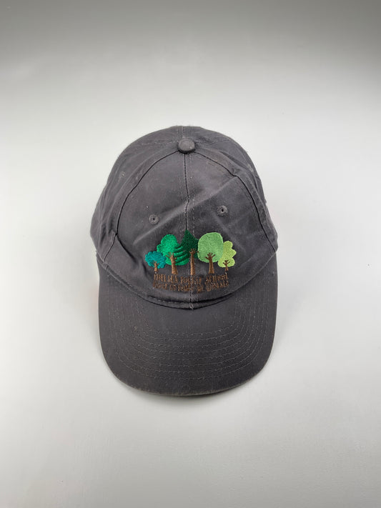 Gorra Gris Authentic