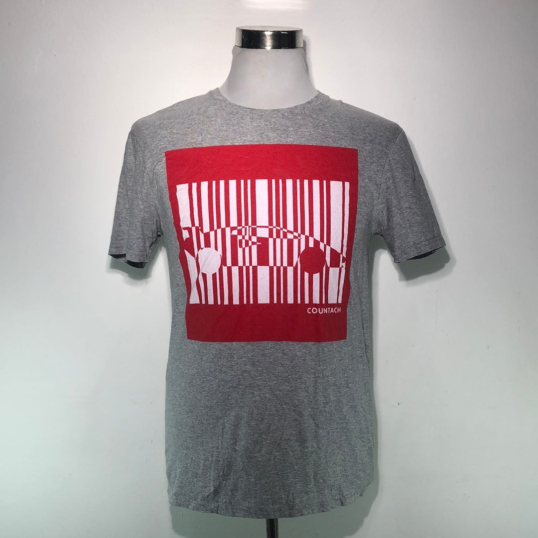 Camiseta Gris
