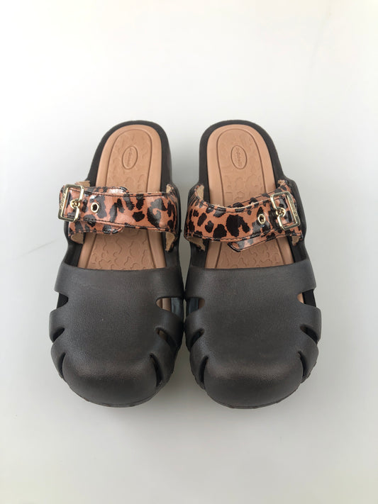 Zapatilla Marron Dr Scholls