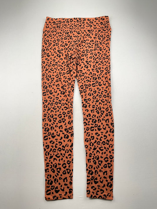 Licra Animal print Wild Fable