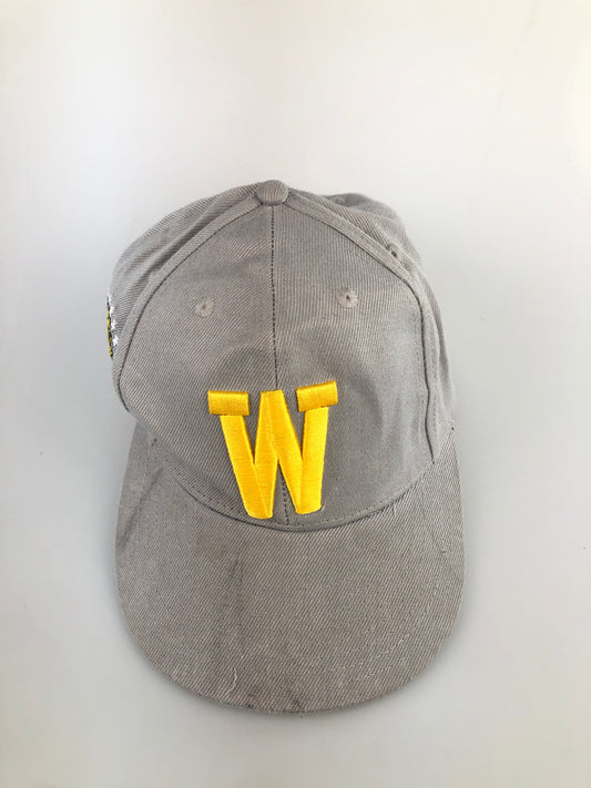 Gorra Gris Wasatch Wasps