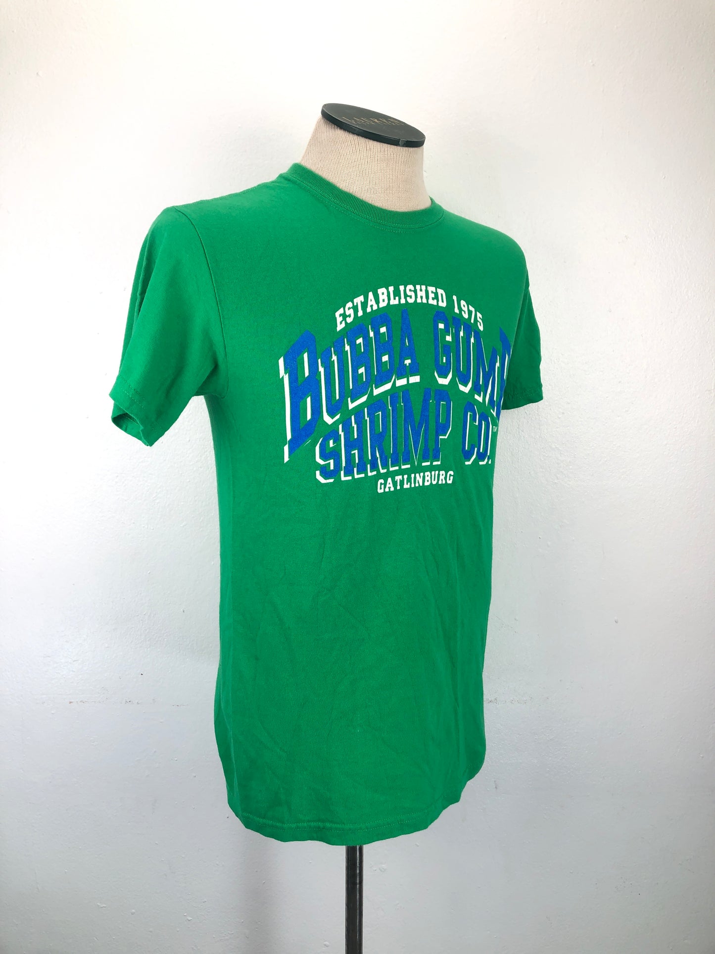 Camiseta Verde Gildan