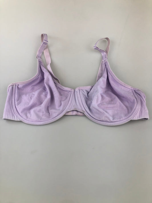 Brasier Morado Fruit Of De loom