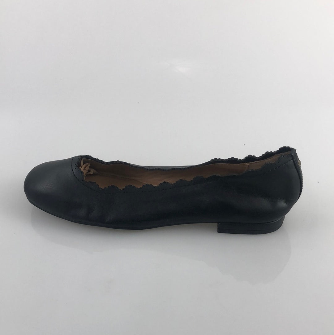 Zapatos Negro Crow Ivy