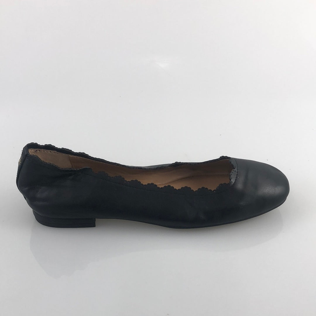 Zapatos Negro Crow Ivy