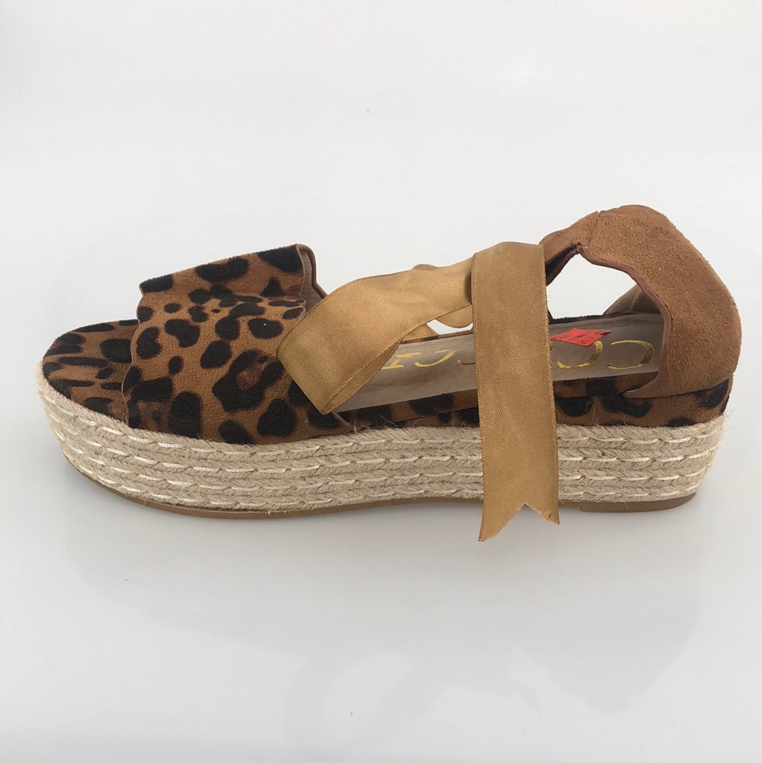 Zapatilla Marron CCOCCI