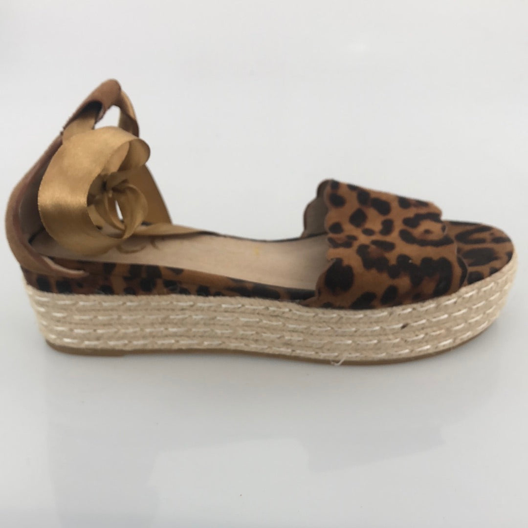 Zapatilla Marron CCOCCI