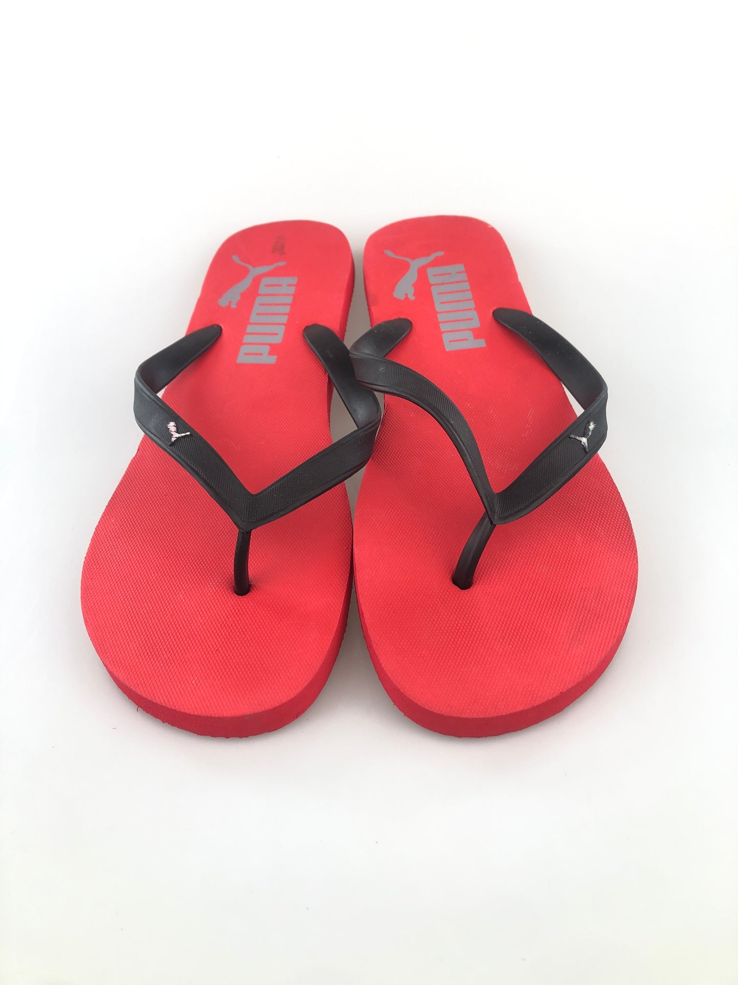 Calisos Rojo Puma