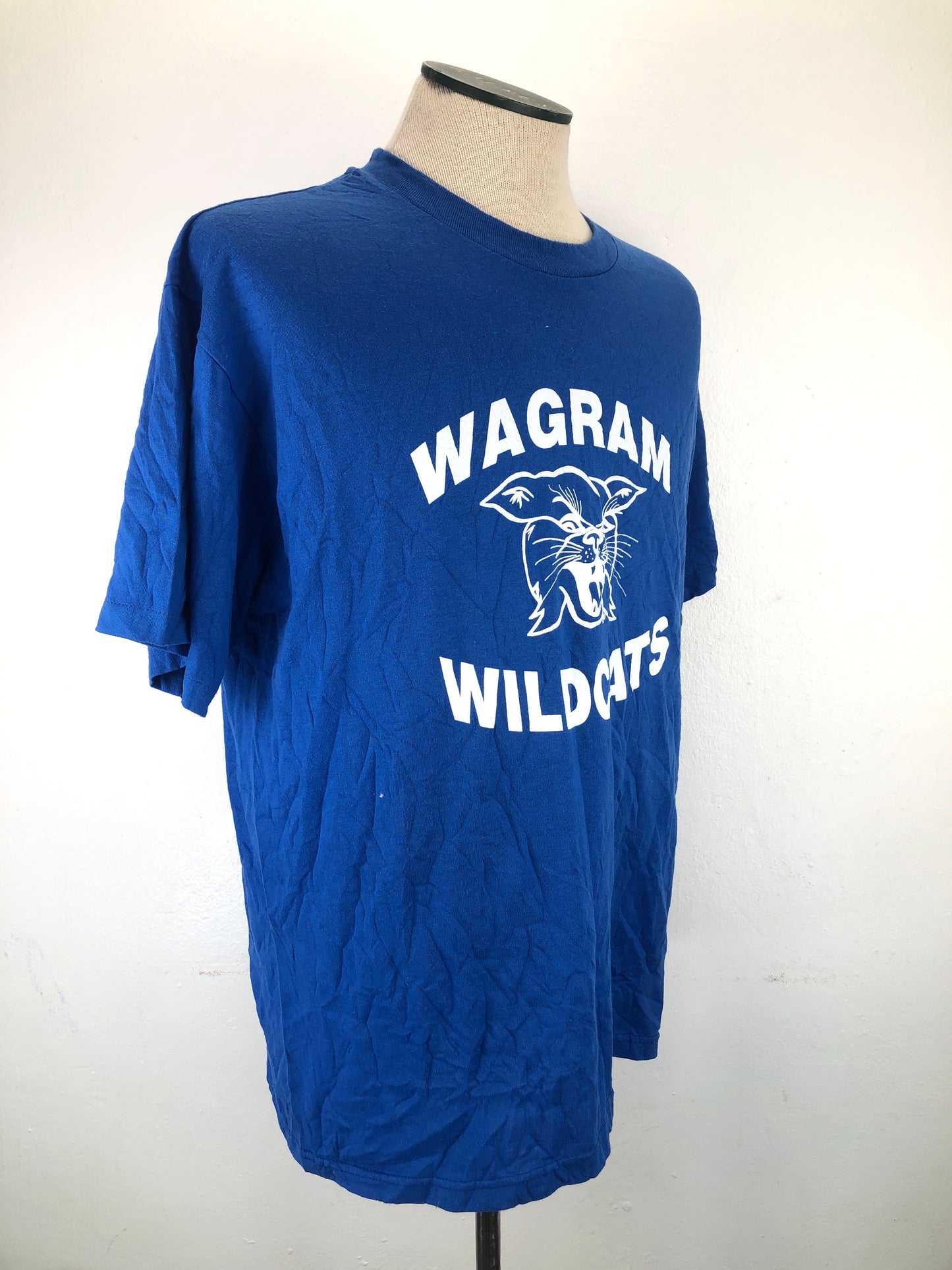 Camiseta Azul Hanes