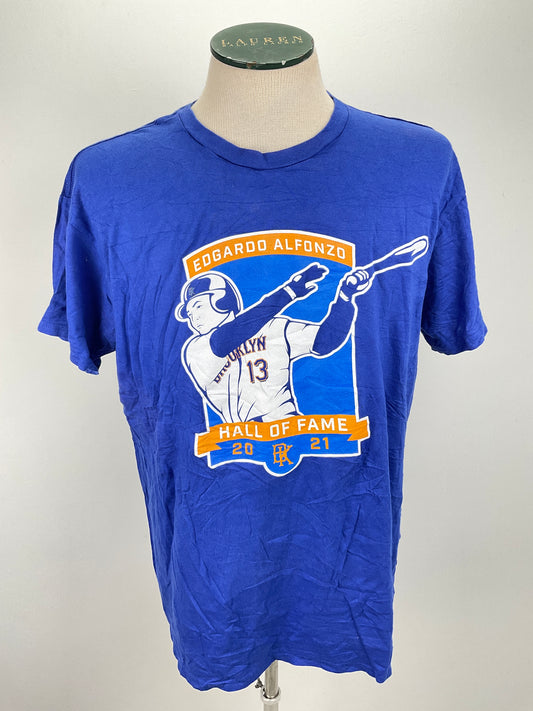 Camiseta Azul Hanes