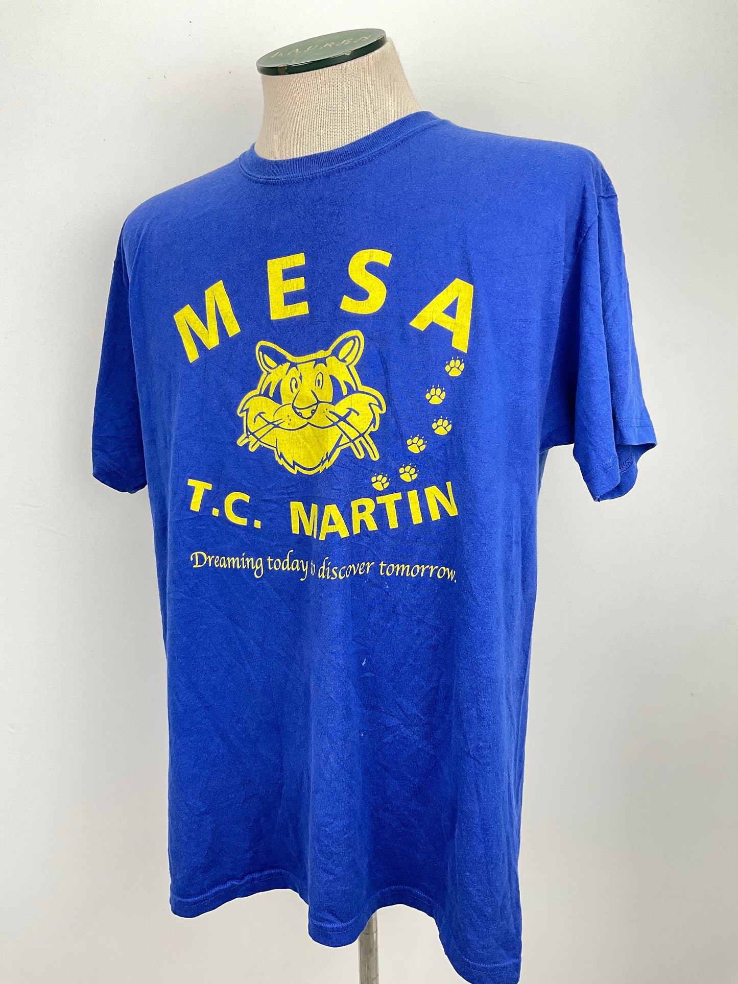 Camiseta Azul Hanes