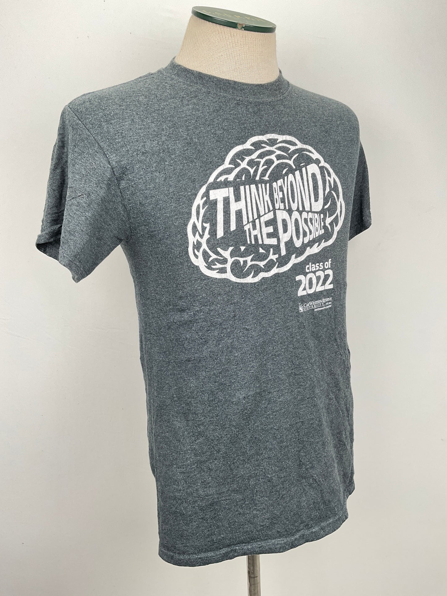 Camiseta Gris Gildan