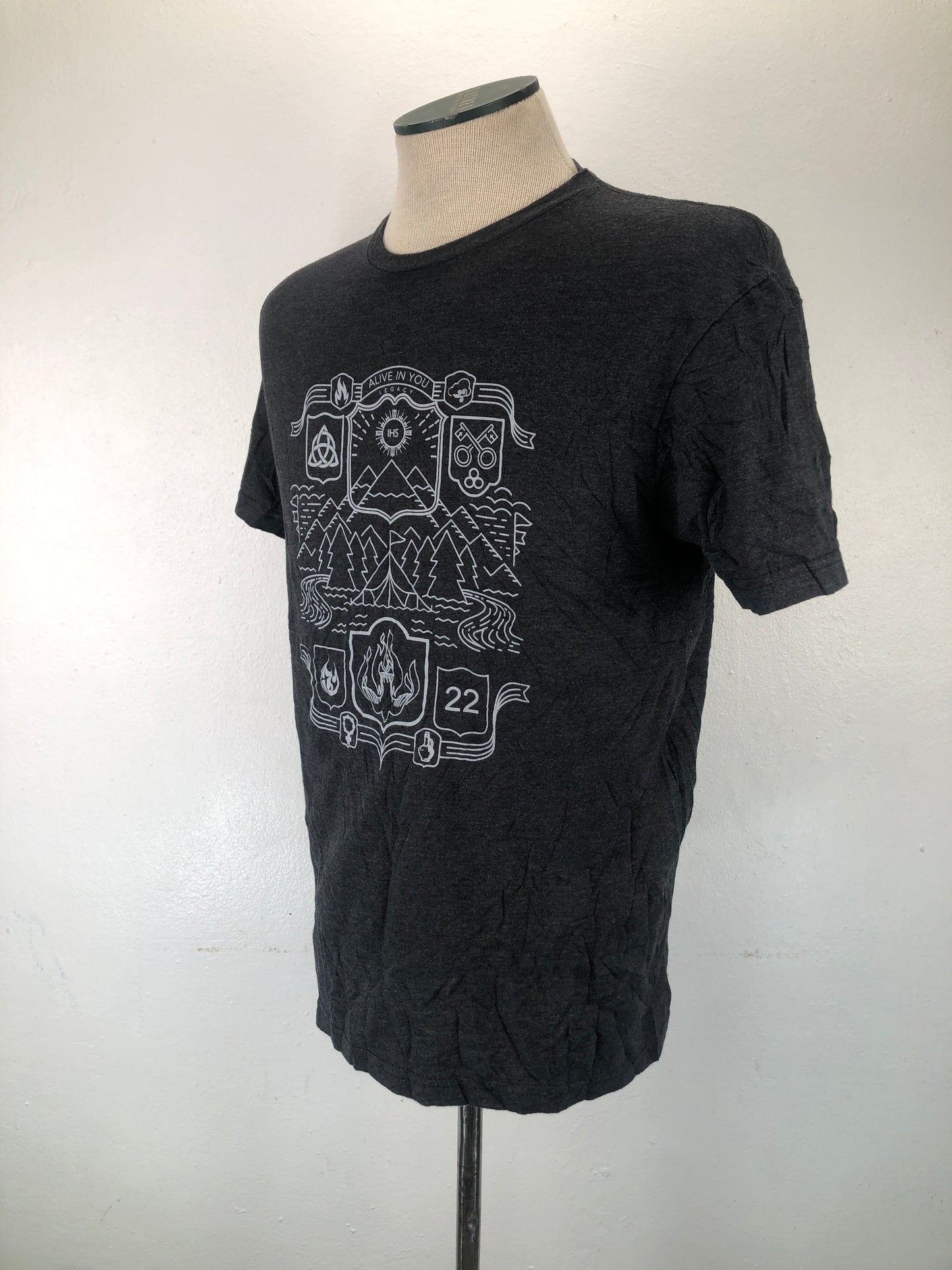 Camiseta Gris Gildan