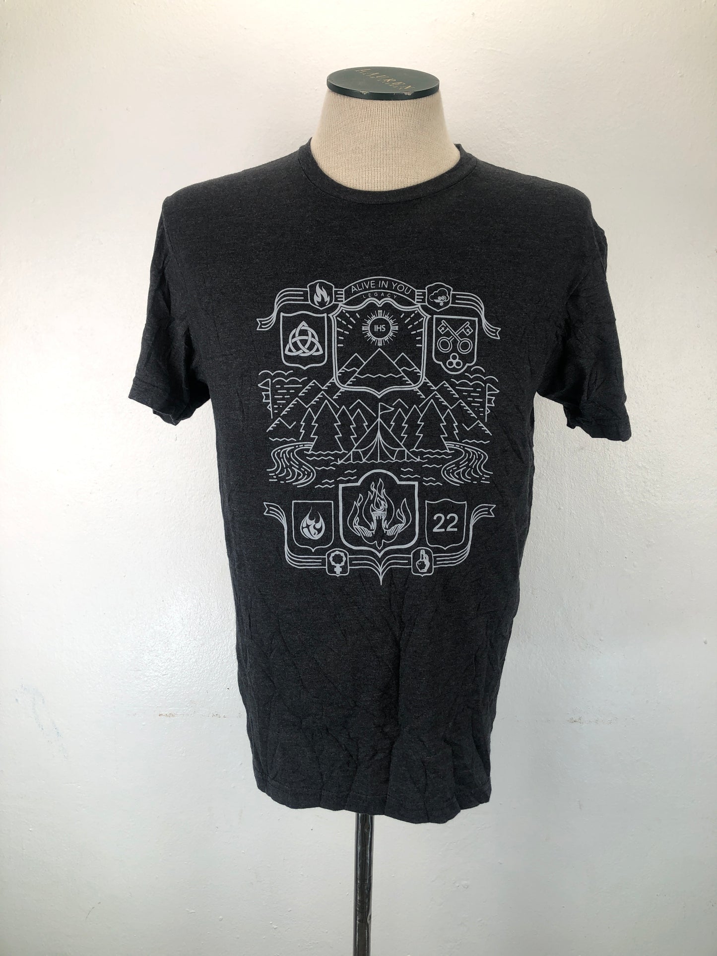 Camiseta Gris Gildan