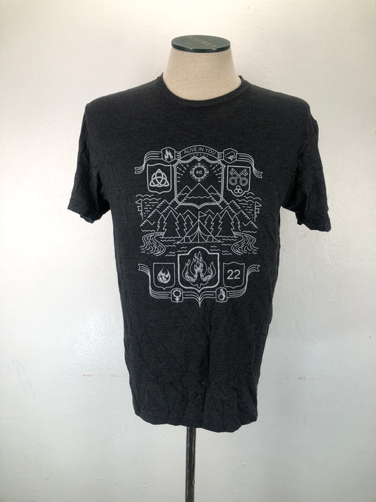 Camiseta Gris Gildan