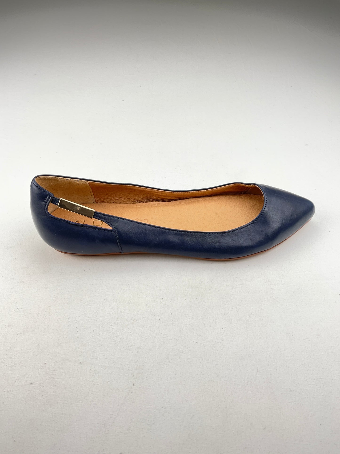 Zapatos Azul marino Aldo