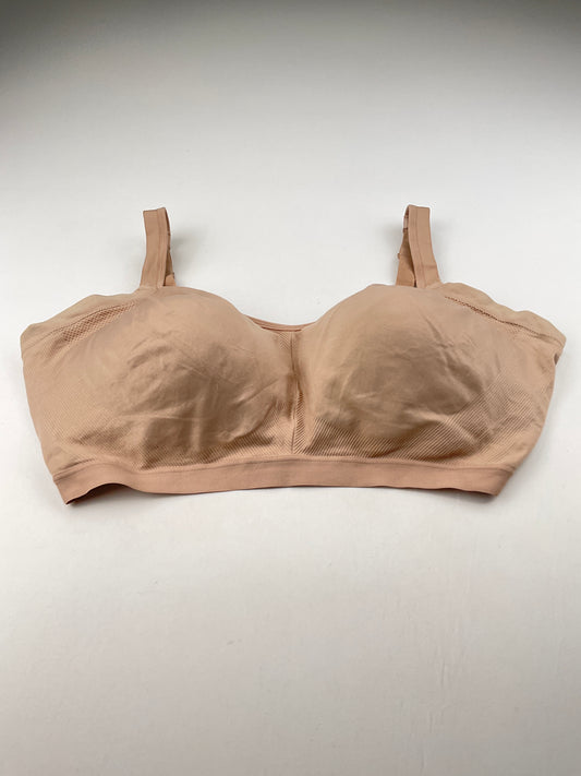 Brasier Crema Warners