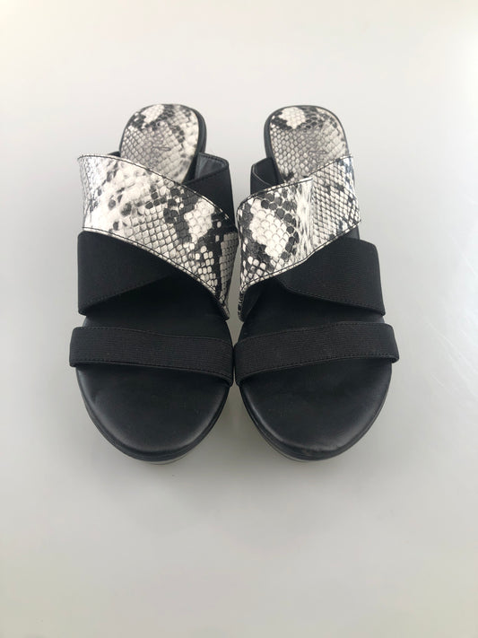 Zapatilla Negro de Plataforma   Charles