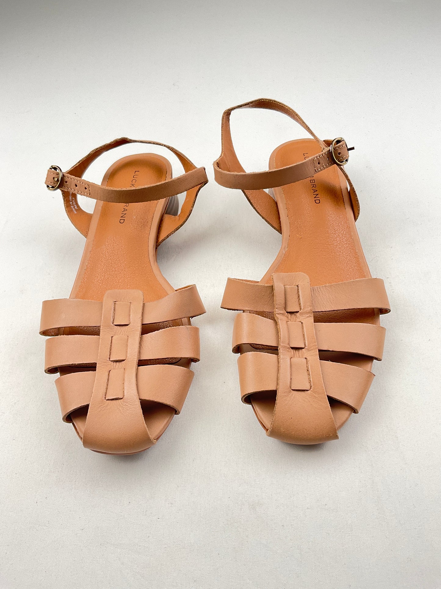 Zapatilla marónn Lucky Brd