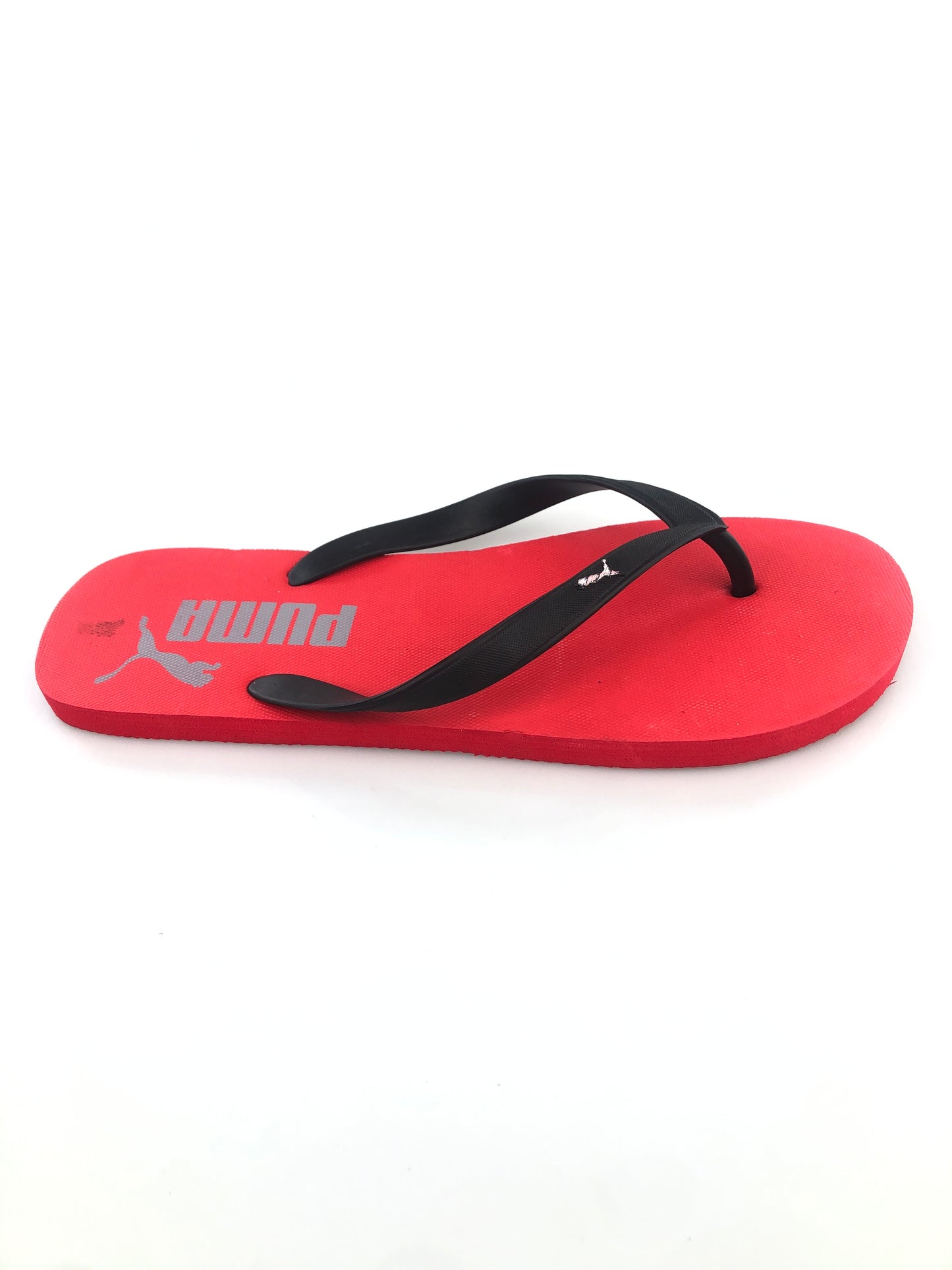 Calisos Rojo Puma