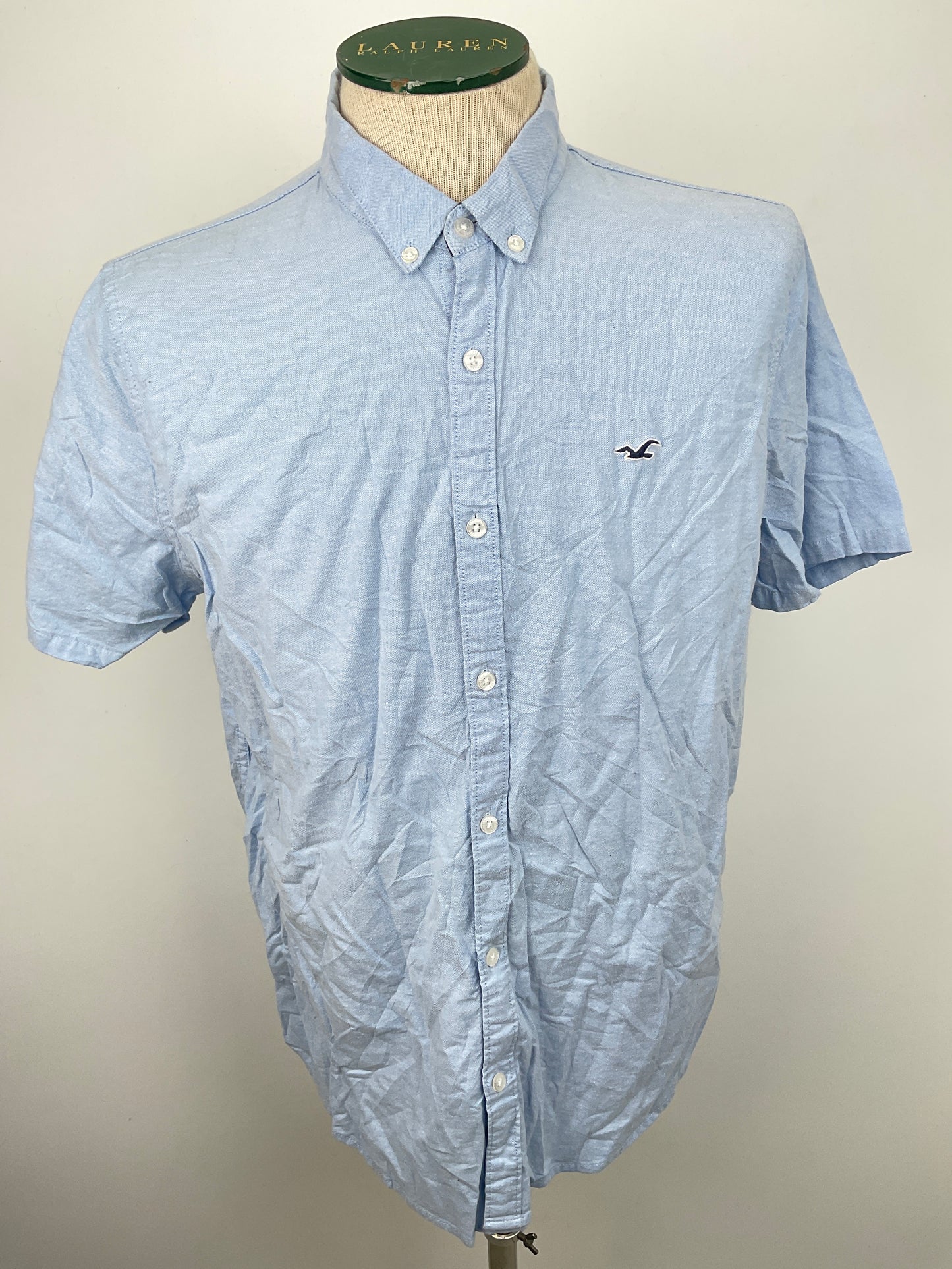 Camisa Azul claro Hollister