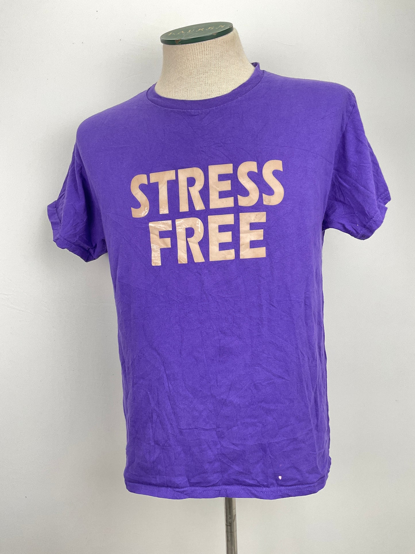 Camiseta Morado Hanes