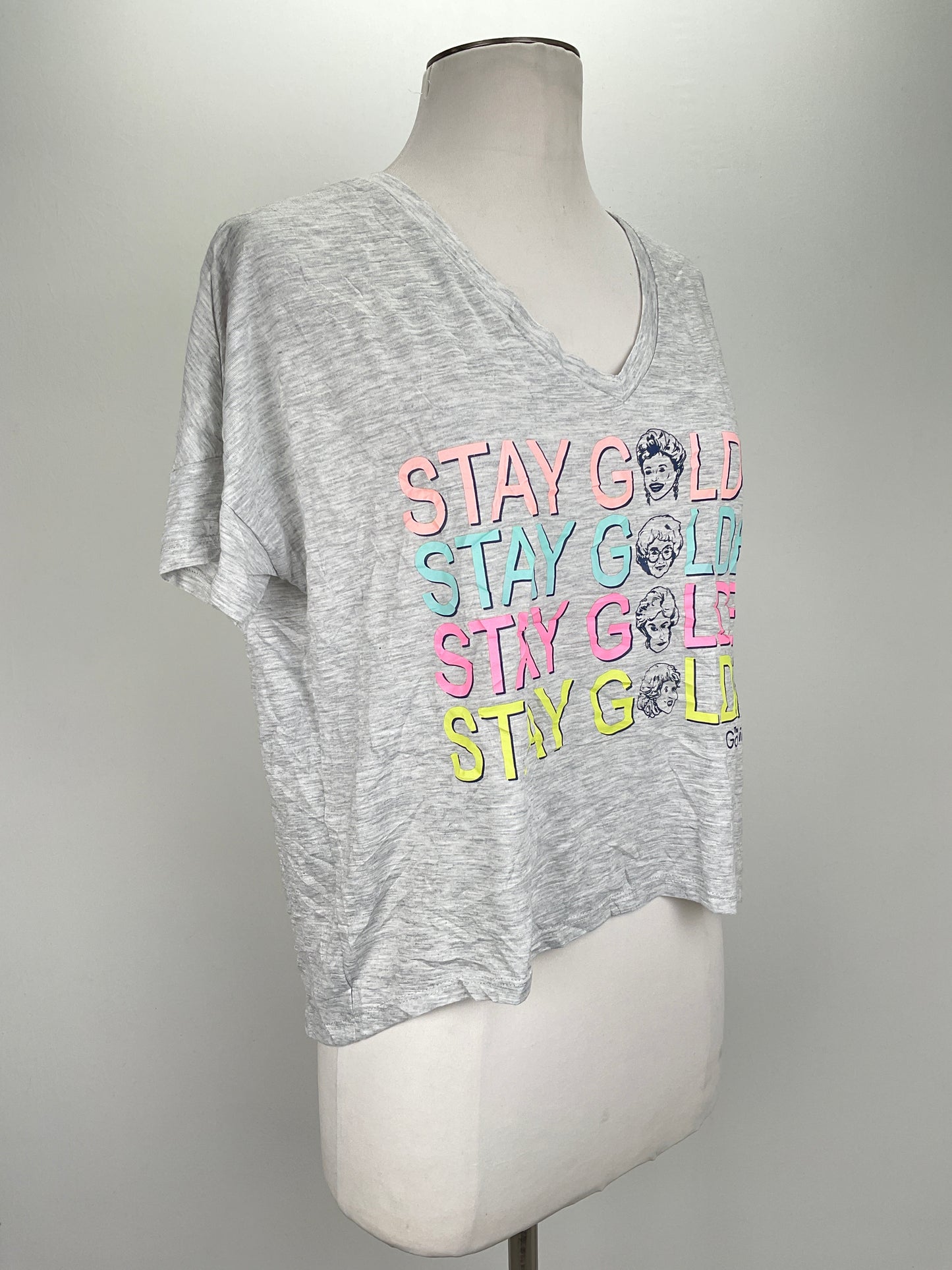Camiseta Gris The Golden Girls