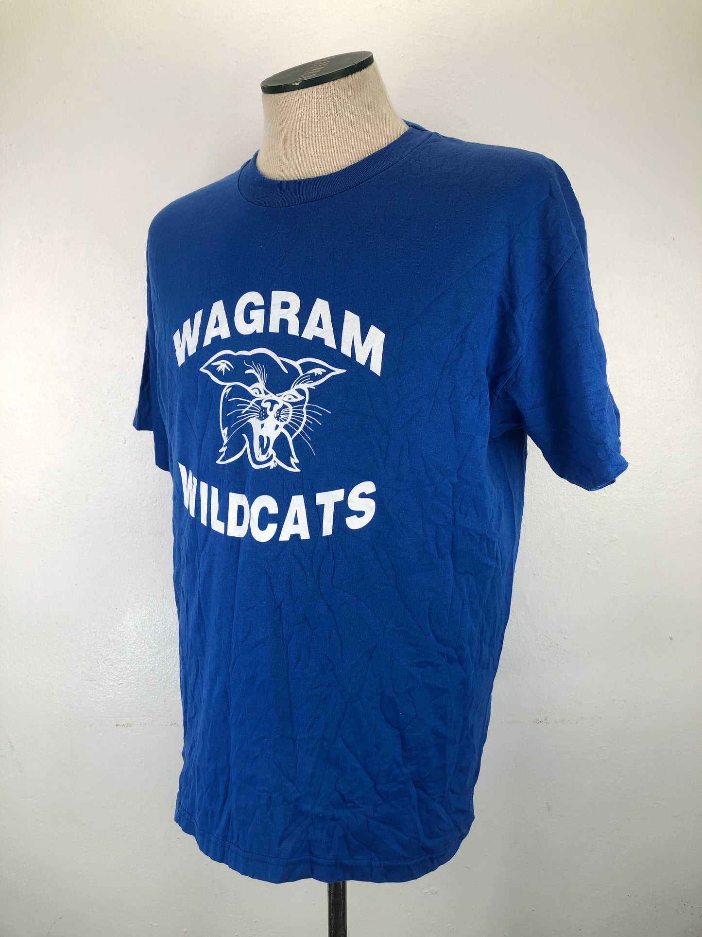 Camiseta Azul Hanes