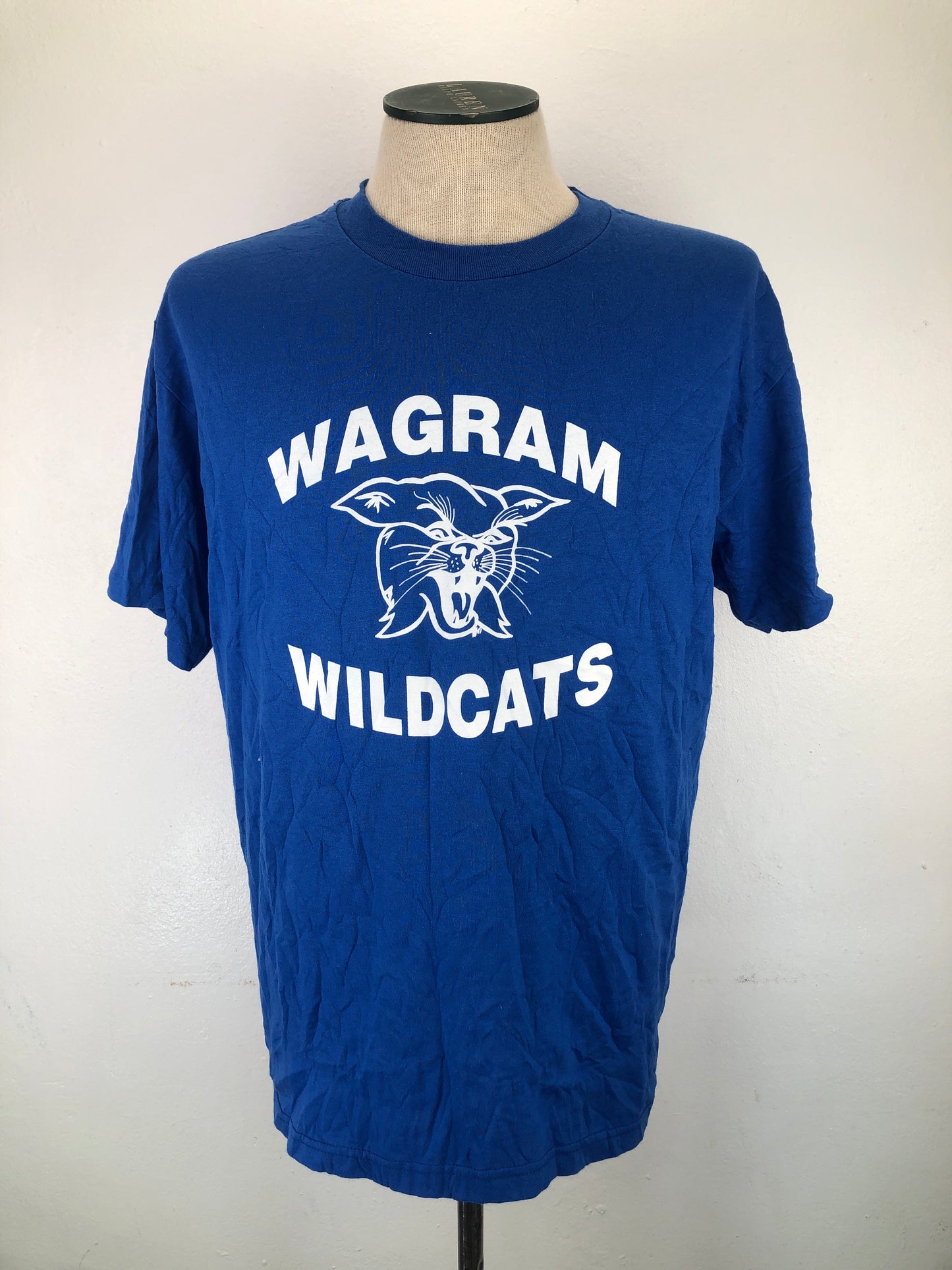 Camiseta Azul Hanes