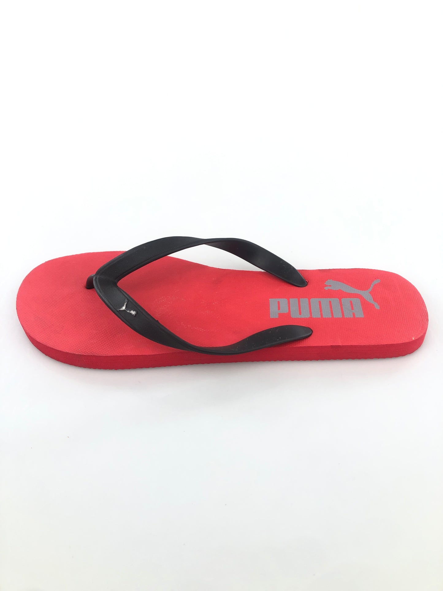 Calisos Rojo Puma