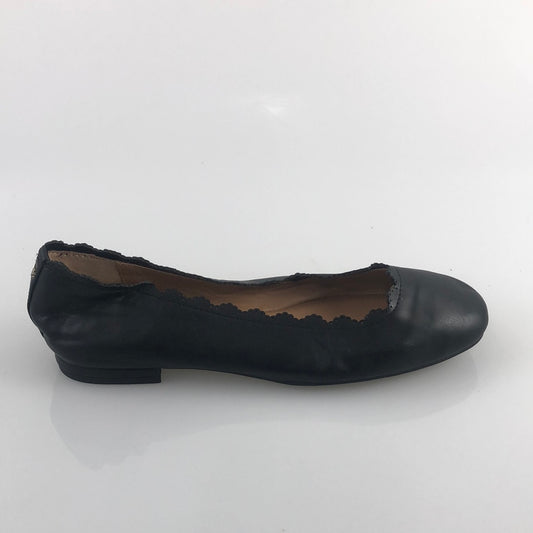 Zapatos Negro Crow Ivy